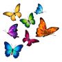 Butterflies-10